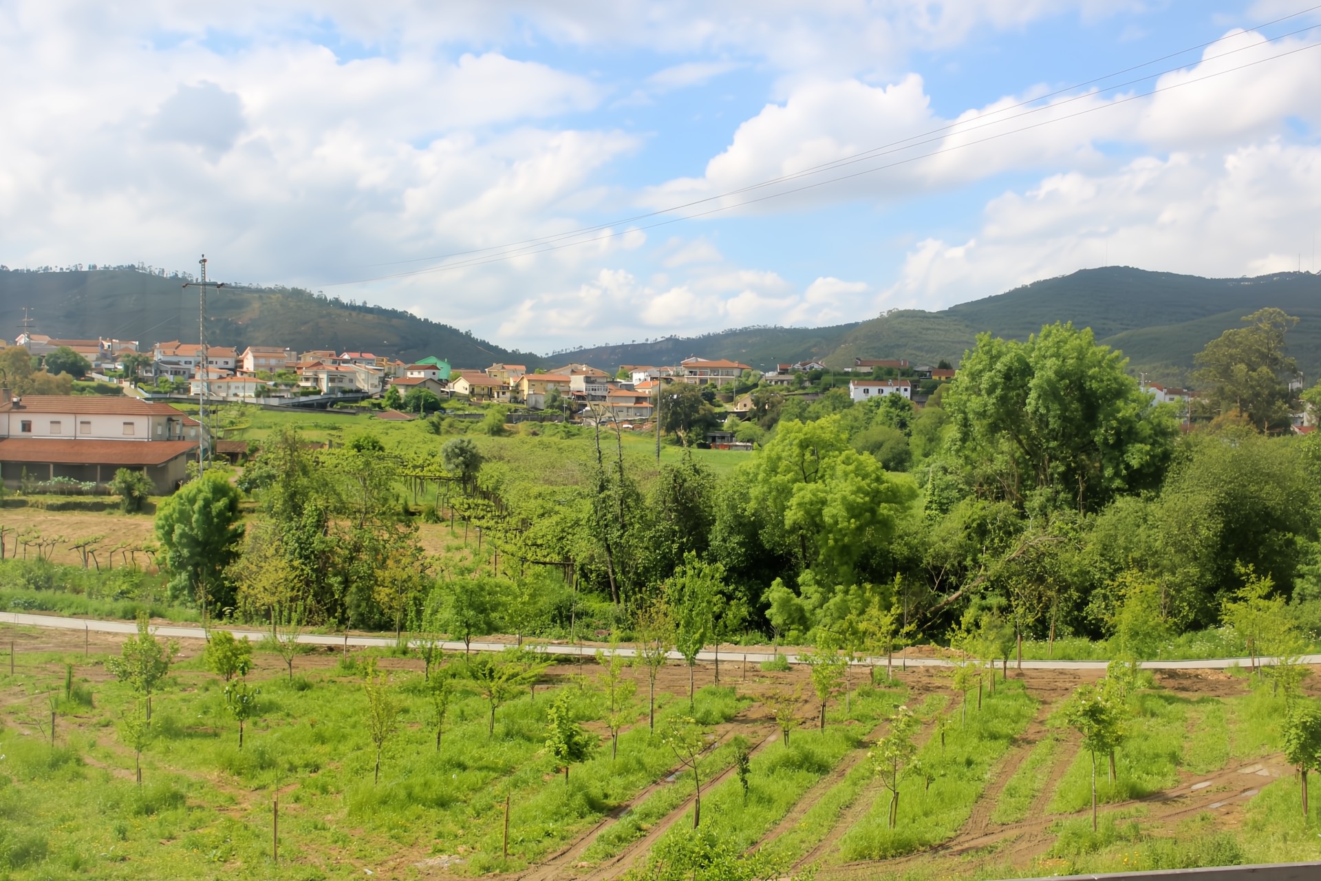 IMG_9755 IMG_9755